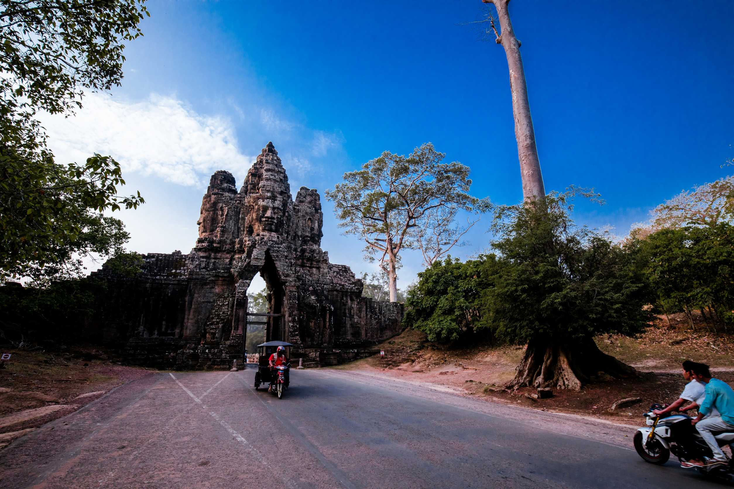 An old temple in Cambodia full of plants and trees