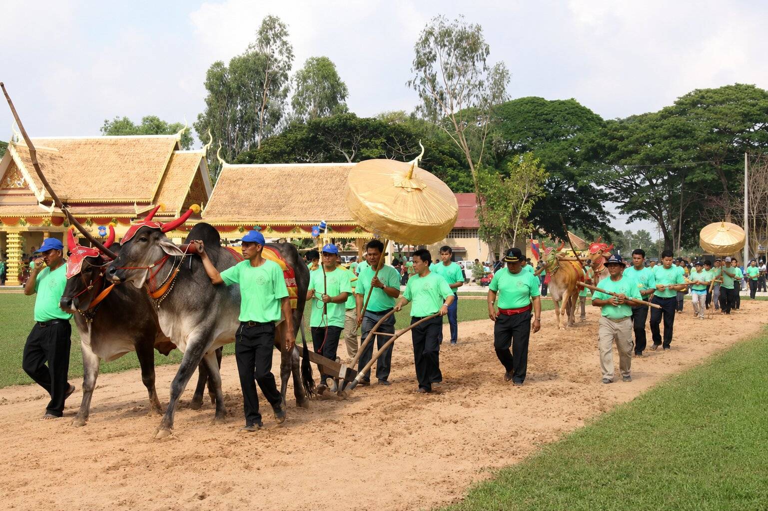 Royal Ploughing Ceremony Cambodia